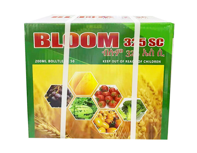 bloom纸箱设计